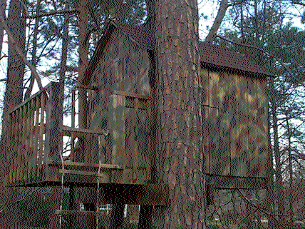 Will's Treehouse